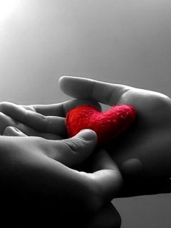 Valentines_Day.jpg, 17 KB